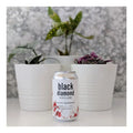 Black Diamond Spiced Cranberry 4PK