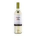 CONCHA CASILLERO DEL DIABLO SAUV BLANC