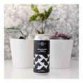 ESTABLISHMENT HOUSEPLANTS