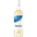 BODACIOUS PINOT GRIGIO